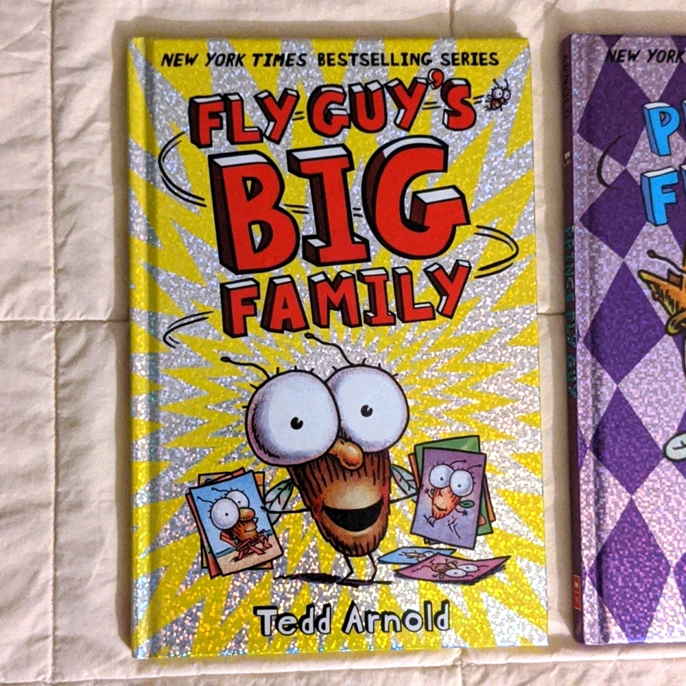 Fly Guy by Tedd Arnold - Picture 4 of 7